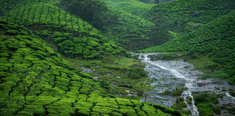 Enchanting_Munnar