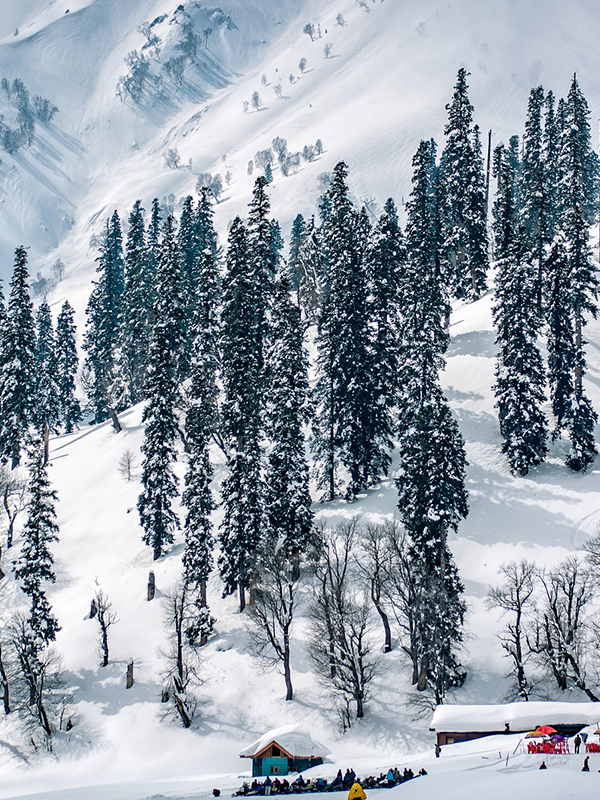 Kashmir-Tour-package